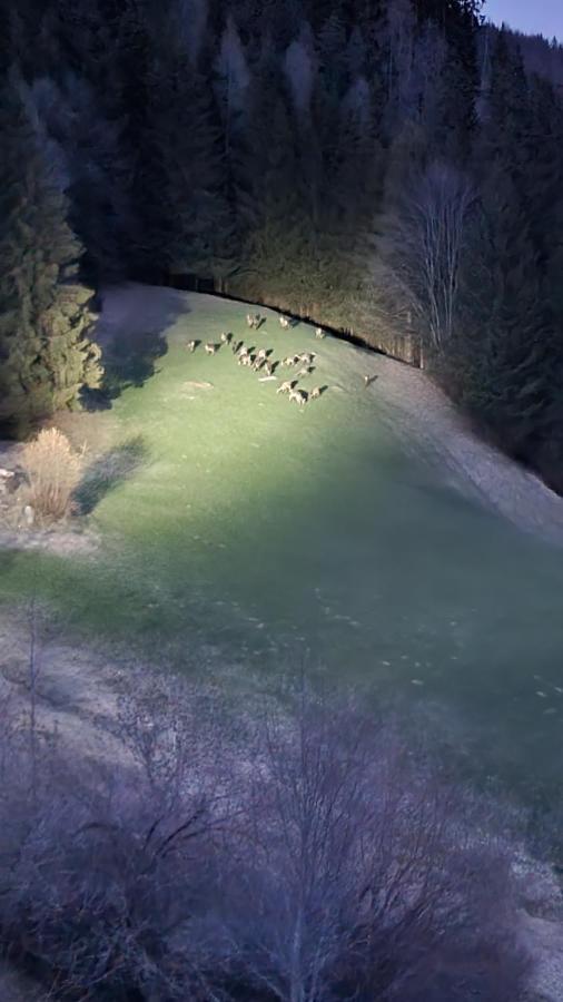 Ferienwohnungen Rabensteiner Bad Kleinkirchheim Extérieur photo