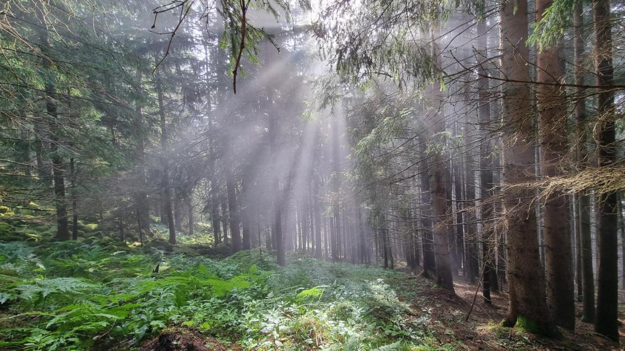Ferienwohnungen Rabensteiner Bad Kleinkirchheim Extérieur photo