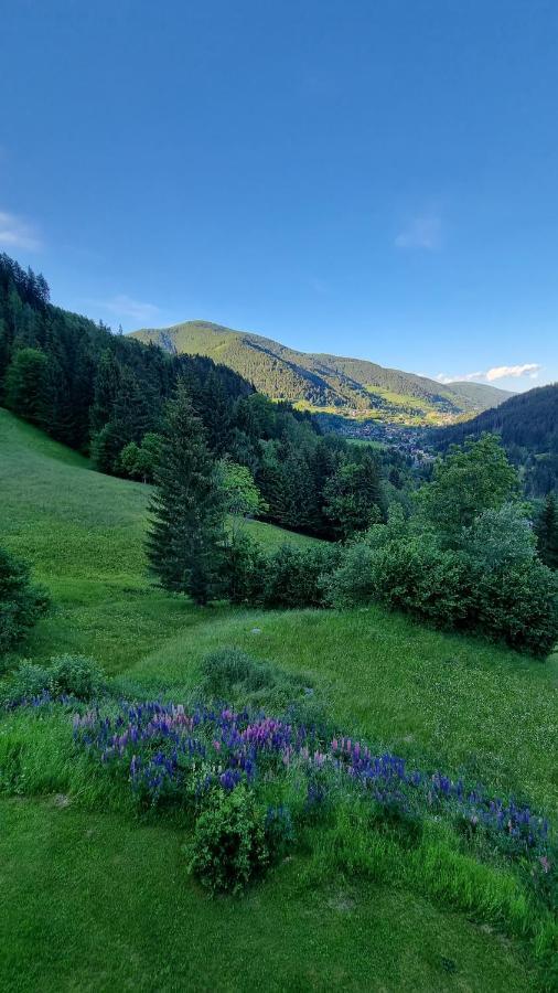 Ferienwohnungen Rabensteiner Bad Kleinkirchheim Extérieur photo